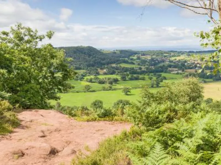 Sandstone Trail view from Bickerton Hill 2
