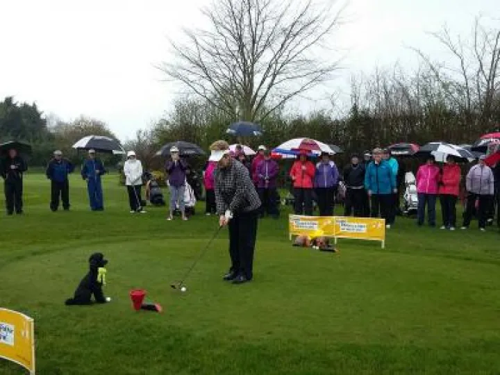 2017 PHGC Lady Captain (5)