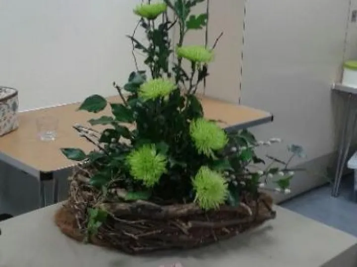 Flower Club May 2017  20170510_212343_4 (1)