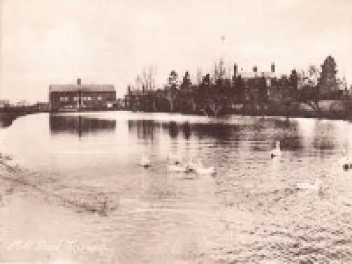 Tarvin Mill & Pool