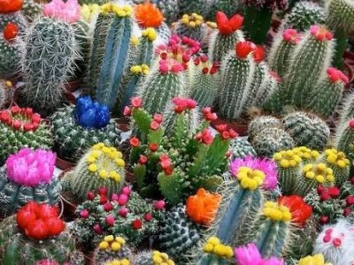 45C3EDF2-E35B-4268-AB22-391E72510142