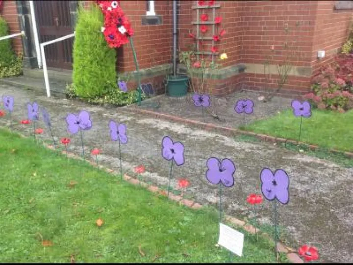 Silkstone Common Poppies (2)