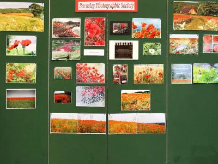 Poppy Display Emmanuel 11th Nov 2017 (7)