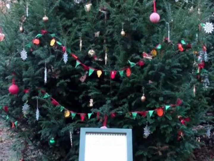 TWT Christmas Tree 2017 With Rules Notice