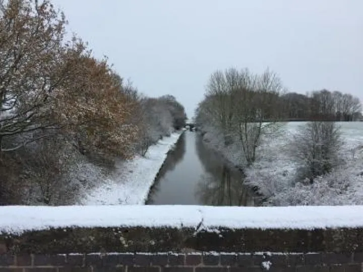 26112006_141087016600126_2658263231694382615_n