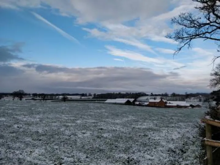 24900224_1752182281460287_6945127187280998592_n