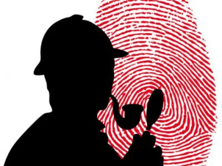 murder-mystery-detective