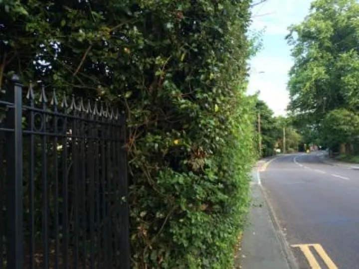 847349-0-full-M186189