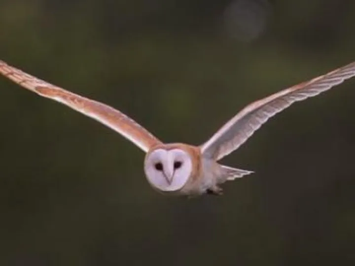 8886940863_672ee7f657_o_0 &ndash; Copy