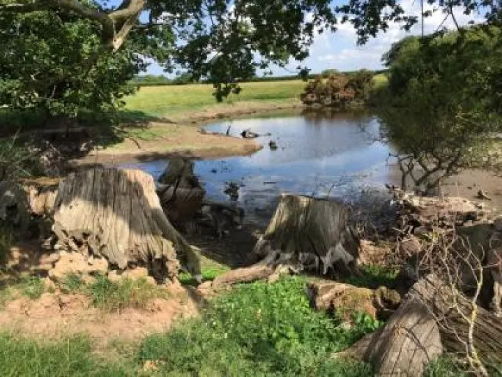 Ponds
