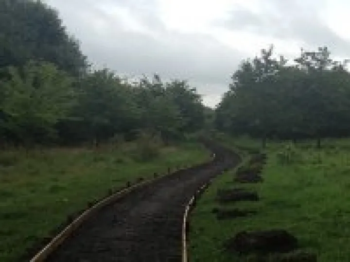 Community Woodland