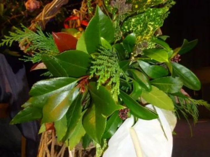 Flower Club Oct 2018 P103