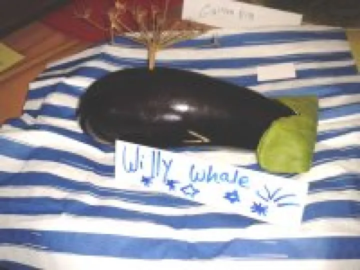 Best Children Display