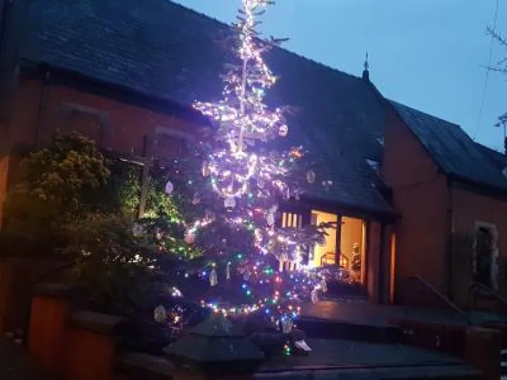 Tarvin Methodist Tree