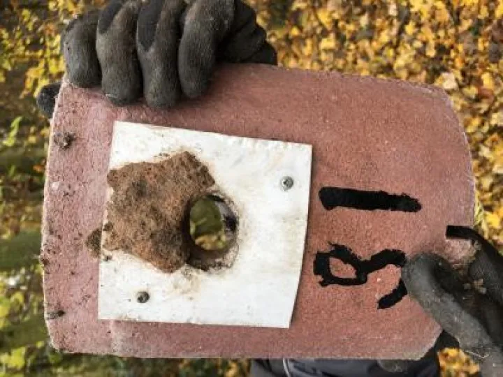Nuthatch Using Great Tit Box   Outside   Laura Denny