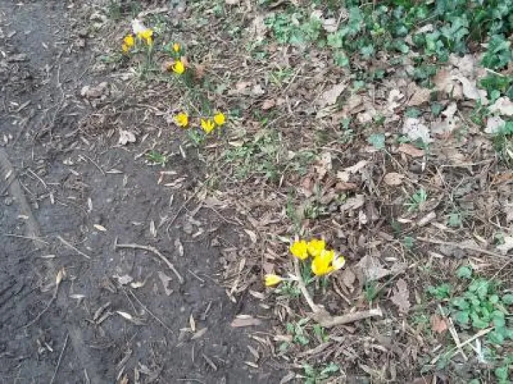 February 20190213_115709_resized