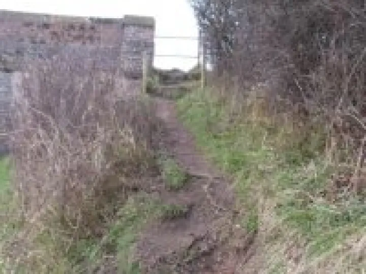 Canal towpath renovations (13)