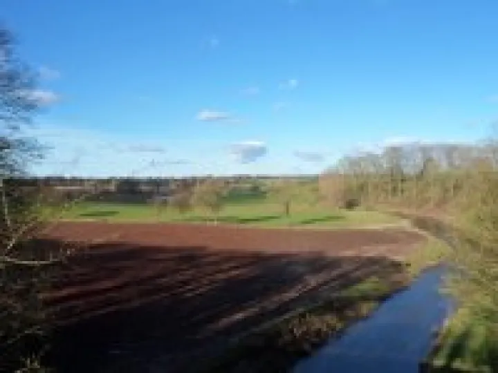 Canal walk January 2013 (7)