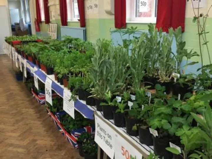 Image: 6A0CDFDF-B1AD-4049-95F2-DEA0DCBCF967