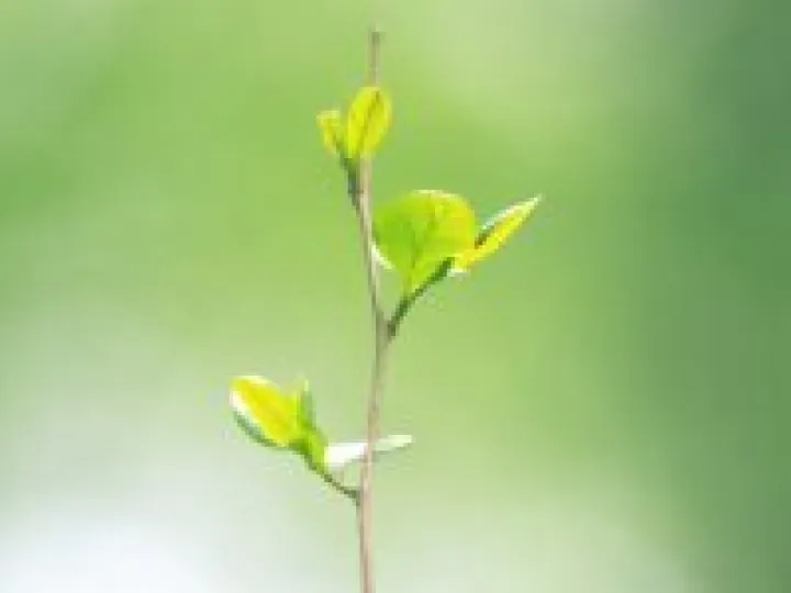 Meditation Image 01