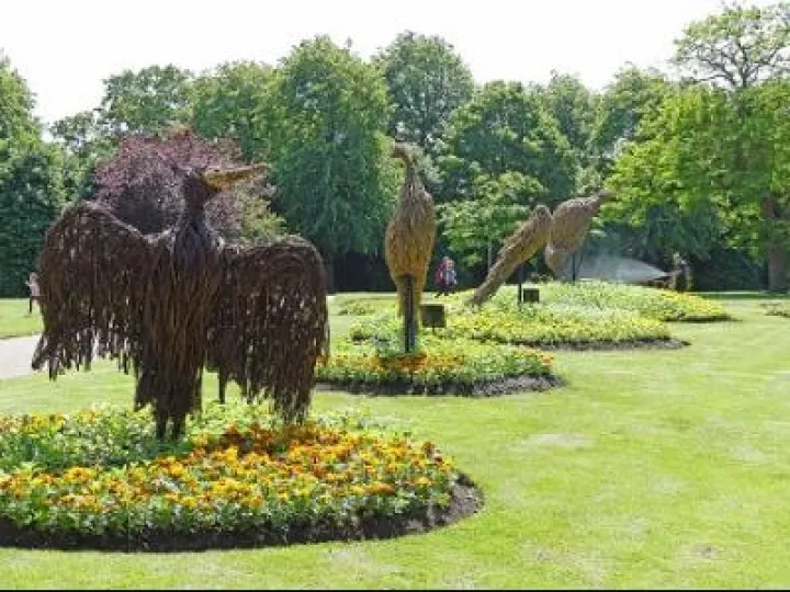 Grosvenor Park Birds 1