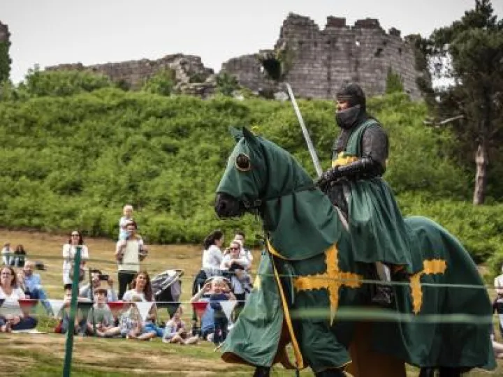 Jousting