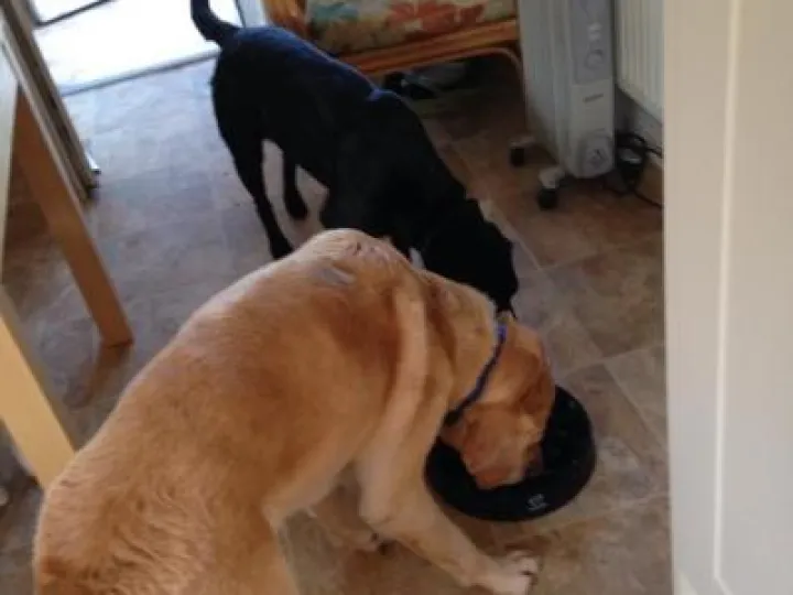 F73C371D-1763-4817-B9B6-3860CCE82251