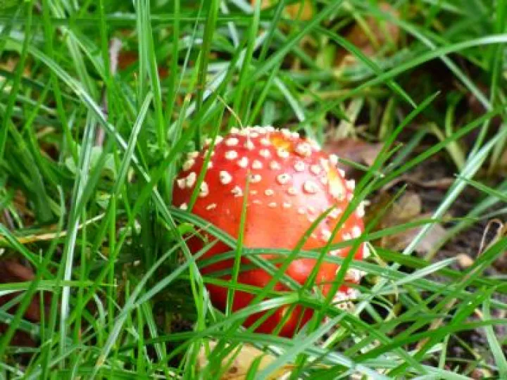 P1120372