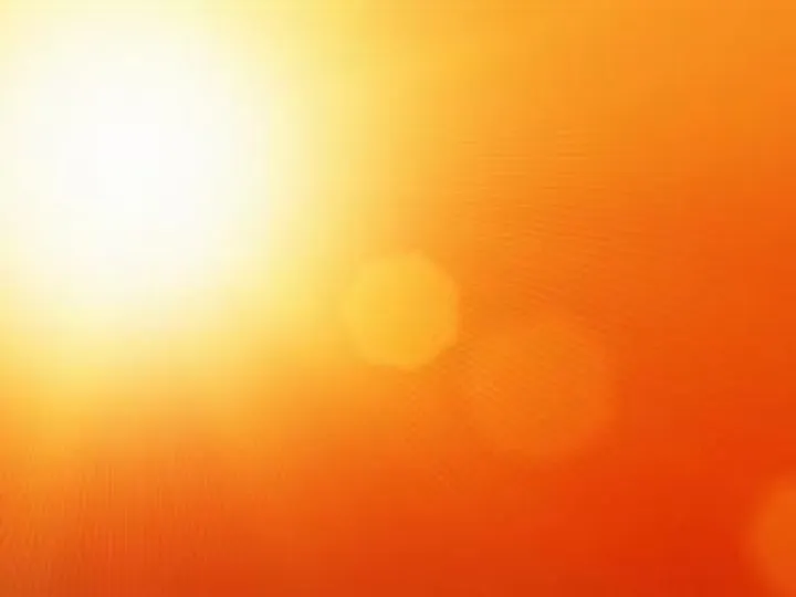 The Climate Emergency