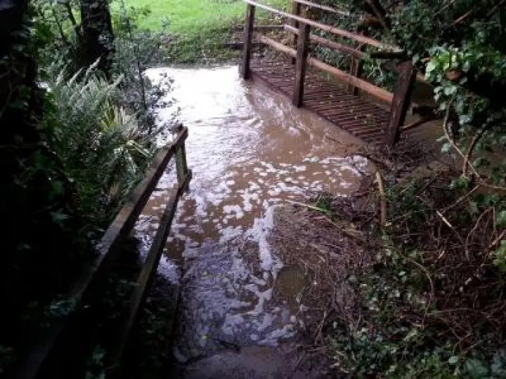 TimsBridge20191026_155715