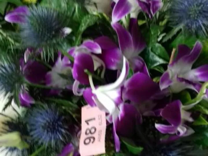 FC Jan 2020 Purple Flowers 20200108_210809[98333]