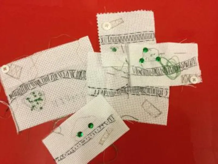 Image: 380C6211-9D15-4274-A785-AF1E427E5200