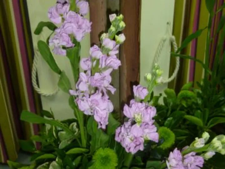 FC Feb 2020 P1030847