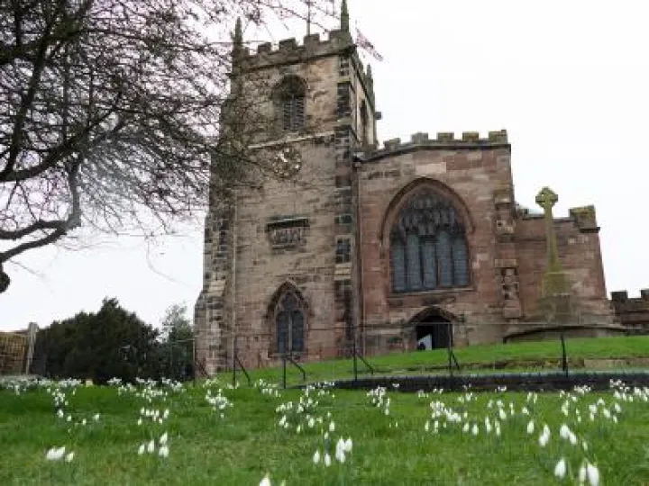 Audlem wi snowdrops v3