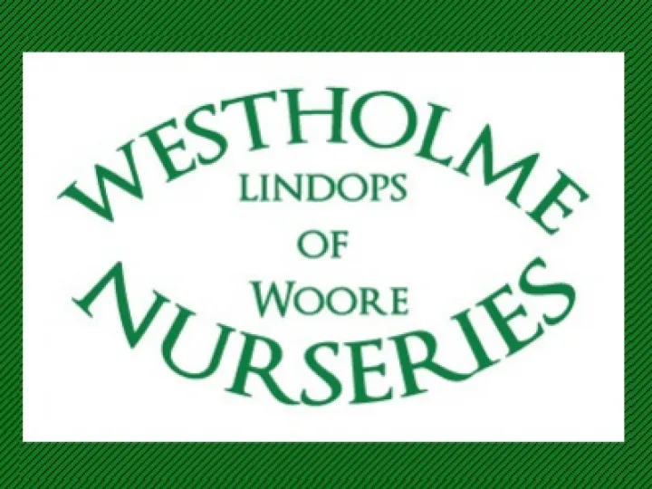 westholme
