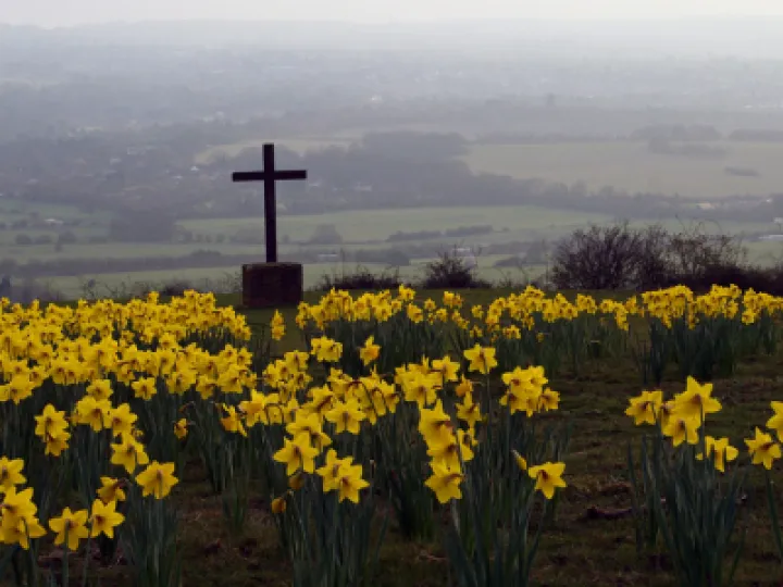Cross & Daffodils