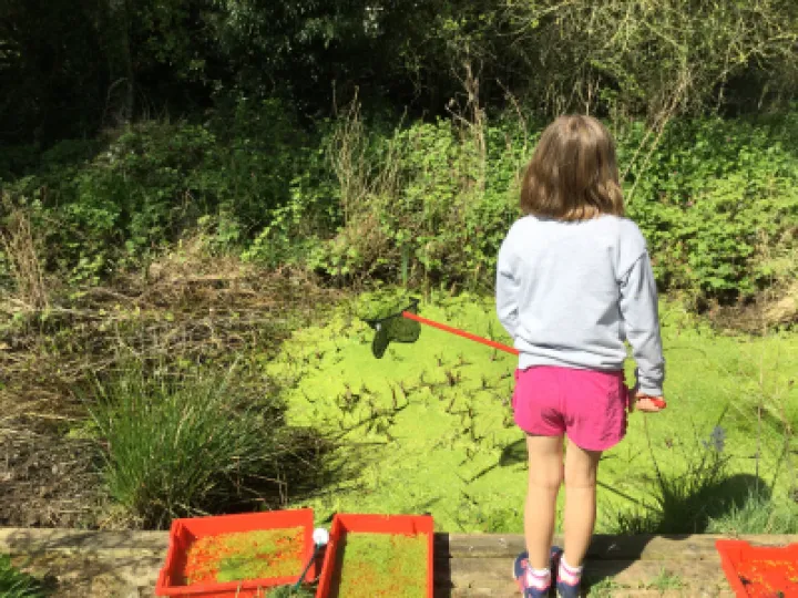 Image: 96AC52C9-5C17-4443-96E7-EEB12AD3930A