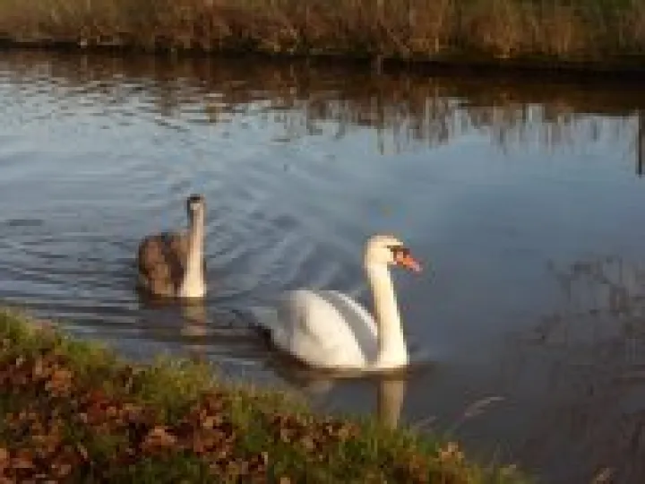 Litter Picking 2013 (6)
