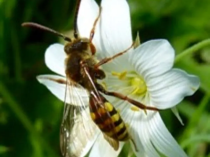 PHOTO-2020-05-02-12-57-04