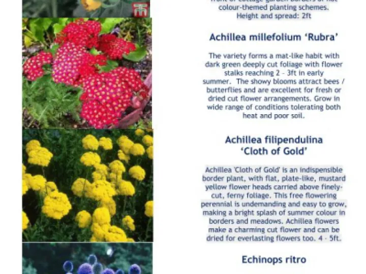 Plant Details 2020 Part 2  05-20_200511_page_001