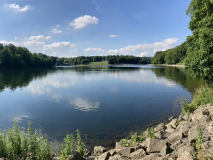Roundhay Park June 2020