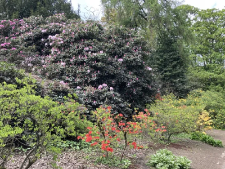 Temple Newsam May 2020