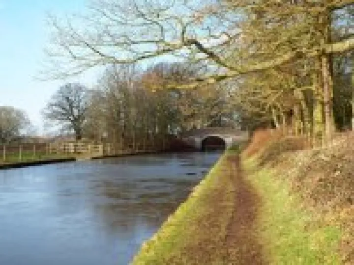 Canal at Cheshire – Shropshire border south of Audlem