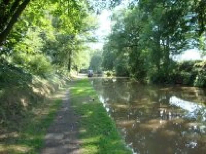 Shropshire Union near Coxbank
