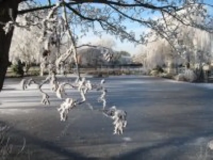 Pond on Hankelow Green &ndash; December 2010