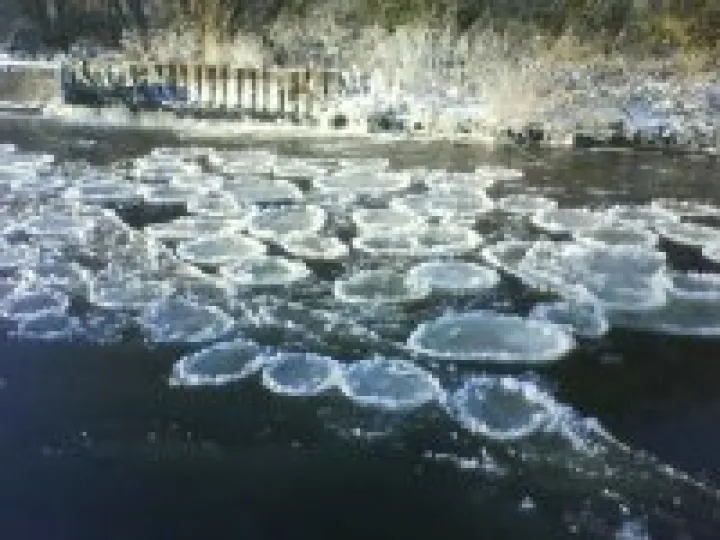 Ice 'waterlilies' &ndash; Audlem, January 2010