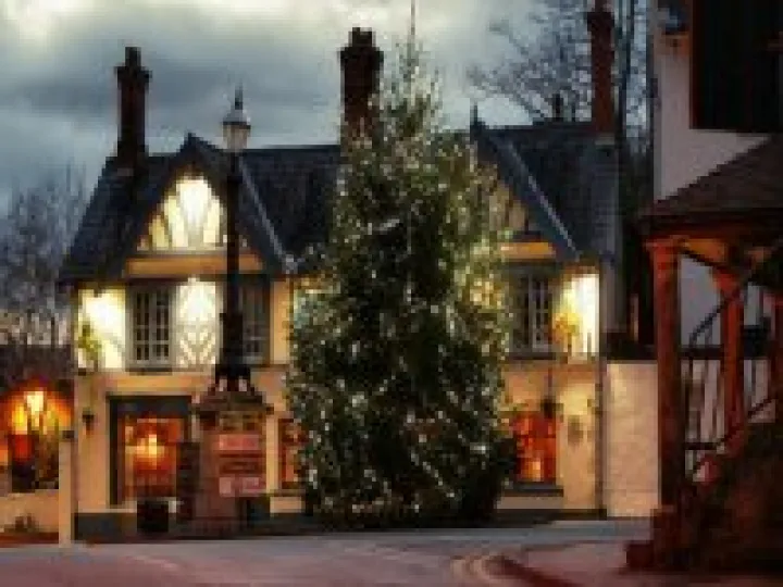 Lord Combermere at Christmas