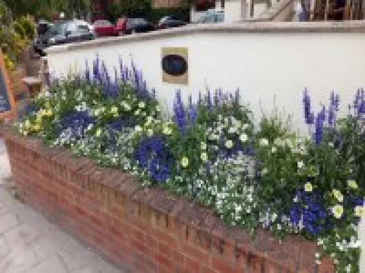 Audlem in Bloom 2014
