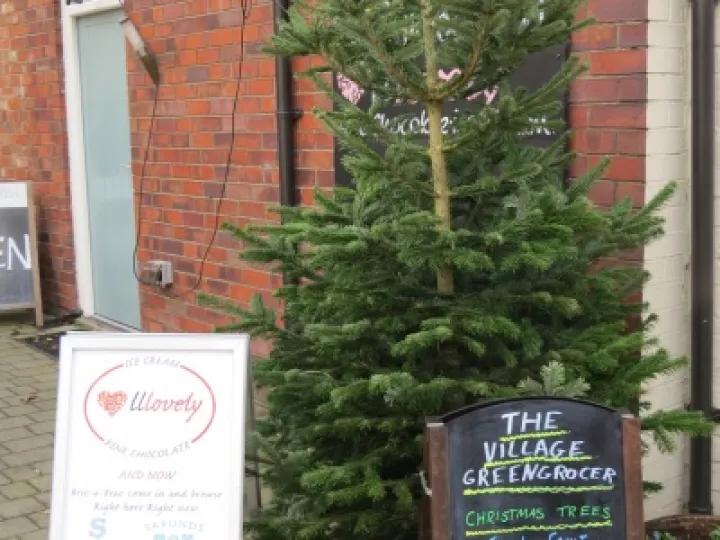 Mistletoe at the Greengrocers