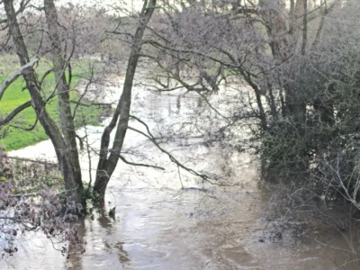 River Weaver Jan 2016